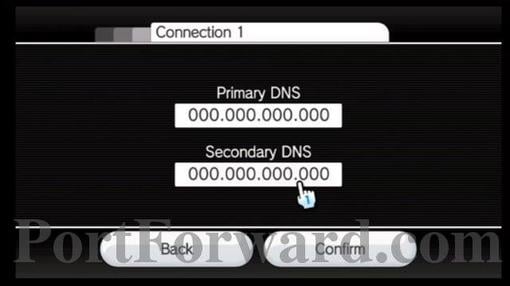 wii_dns_menu.jpg