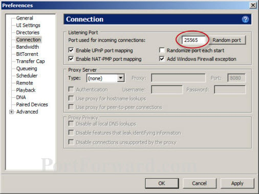 Utorrent Port Forwarding Vista