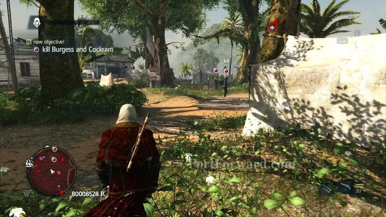 Assassins Creed IV: Black Flag Walkthrough - Assassins Creed-IV-Black-Flag 164