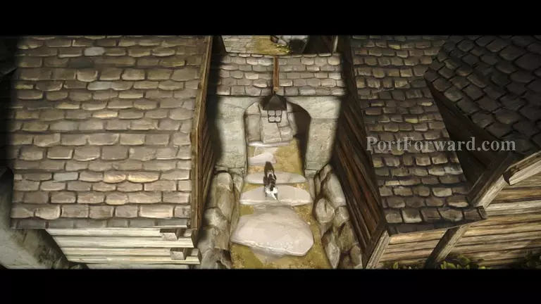 Brothers: A Tale of Two Sons Walkthrough - Brothers A-Tale-of-Two-Sons 24