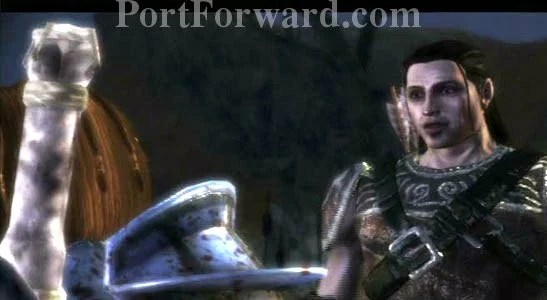Dragon Age - Origins: Awakening Walkthrough - Dragon Age-Origins-Awakening 24