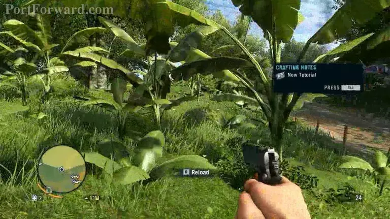 Far Cry 3 Walkthrough - Far Cry-3 29