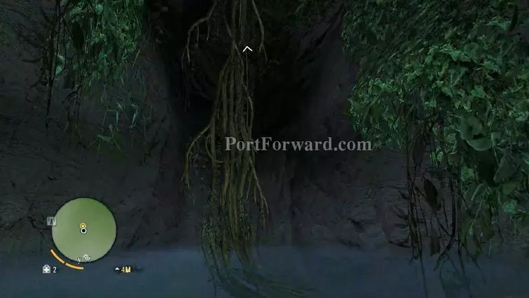 Far Cry 3 Walkthrough - Far Cry-3 39