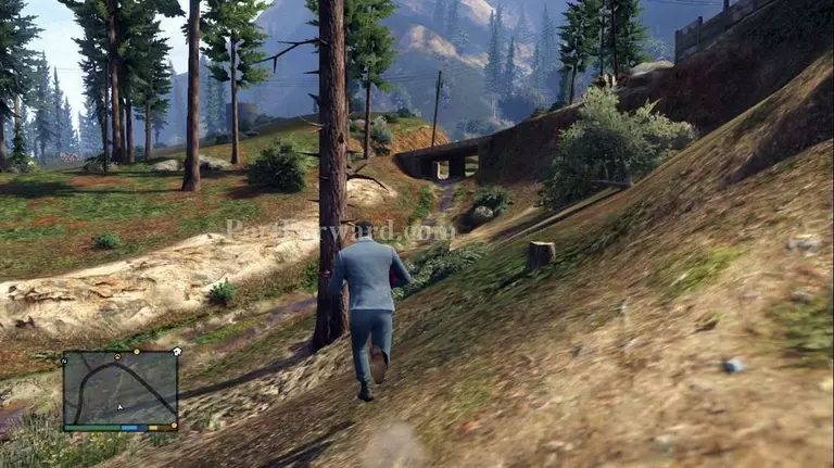 Grand Theft Auto V Walkthrough - Grand Theft-Auto-V 621
