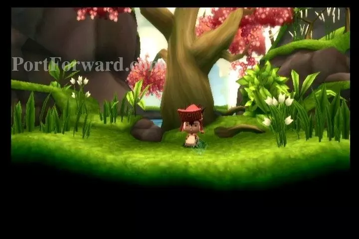 LostWinds Walkthrough - LostWinds 0003