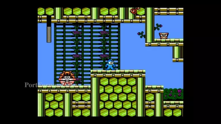 Mega Man 9 Walkthrough - Mega Man-9 0312