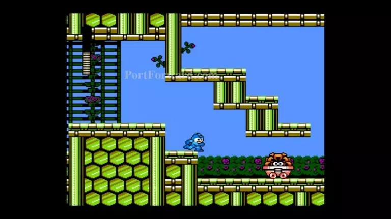 Mega Man 9 Walkthrough - Mega Man-9 0313