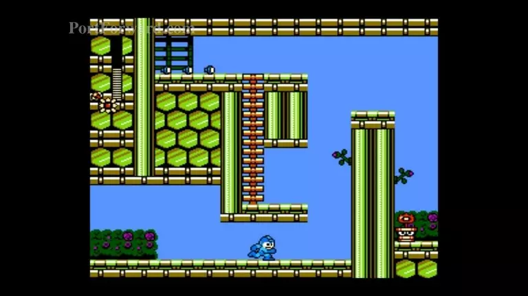 Mega Man 9 Walkthrough - Mega Man-9 0345