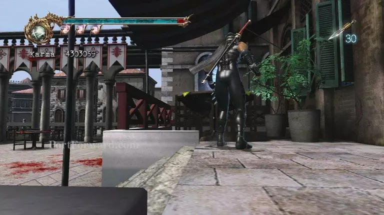 Ninja Gaiden II Walkthrough - Ninja Gaiden-II 14392