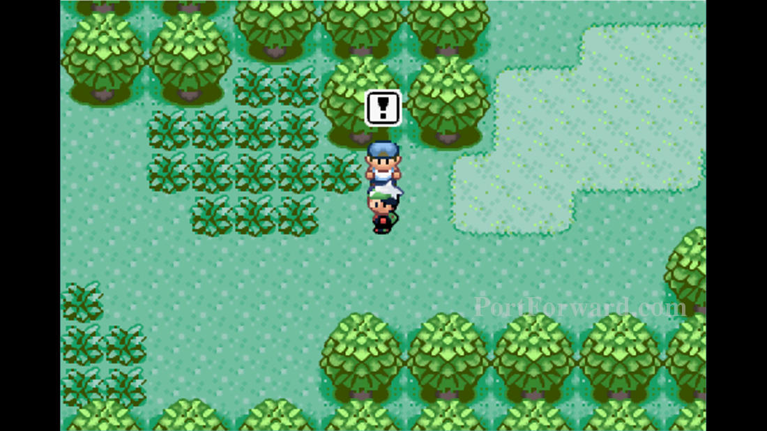 Pokemon Emerald Walkthrough Pokemon Emerald