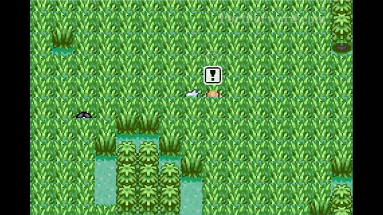 Pokemon Emerald Walkthrough - Pokemon Emerald 607