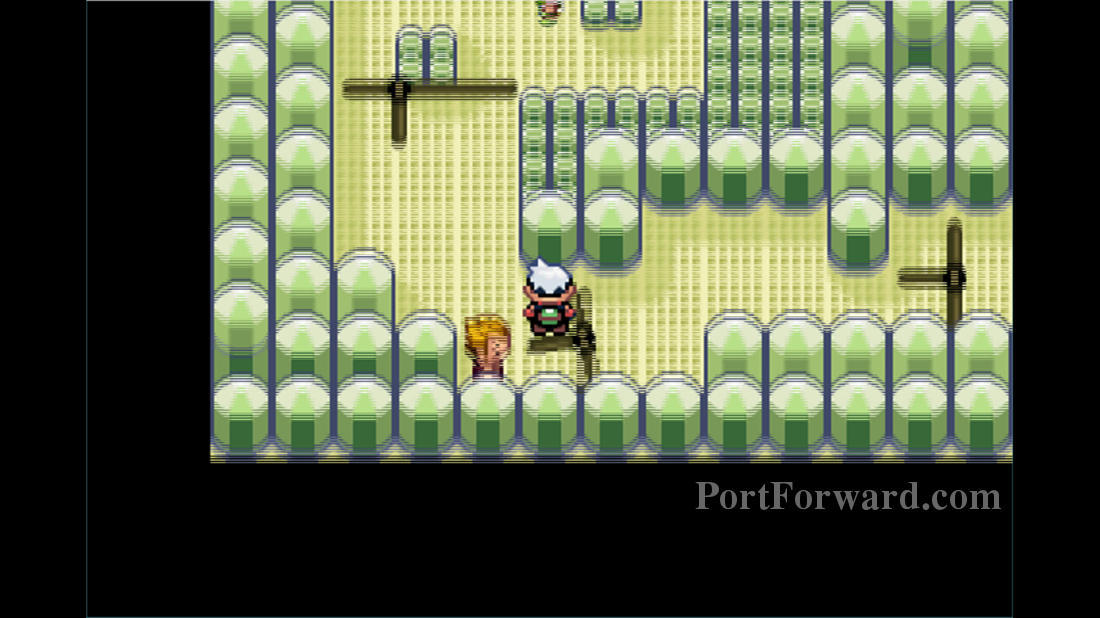 Pokemon Emerald Walkthrough Road to the Sixth Gym Fortree City