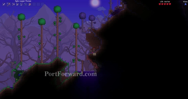 Terraria Walkthrough - Terraria 11