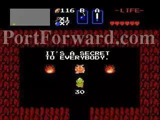 The Legend of Zelda Walkthrough - The Legend-of-Zelda 101
