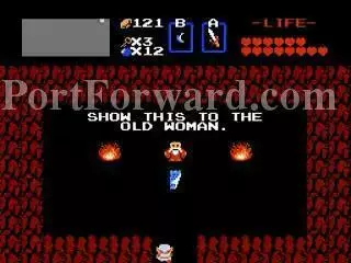The Legend of Zelda Walkthrough - The Legend-of-Zelda 313