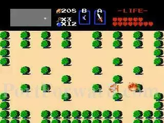 The Legend of Zelda Walkthrough - The Legend-of-Zelda 325