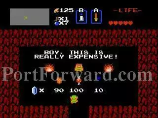 The Legend of Zelda Walkthrough - The Legend-of-Zelda 86
