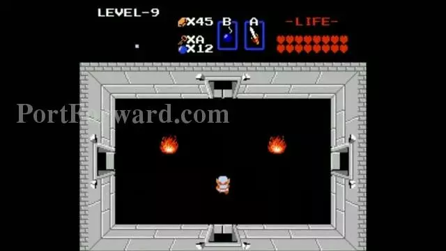 The Legend of Zelda Walkthrough - The Legend-of-Zelda 924