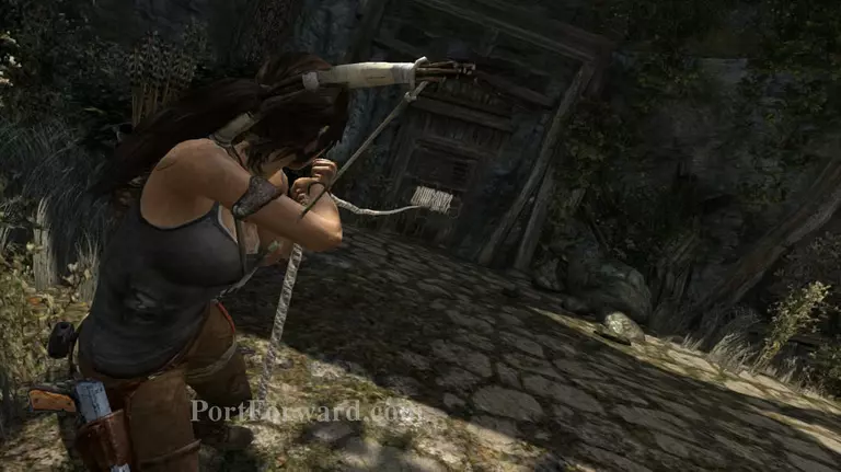Tomb Raider Walkthrough - Tomb Raider 217