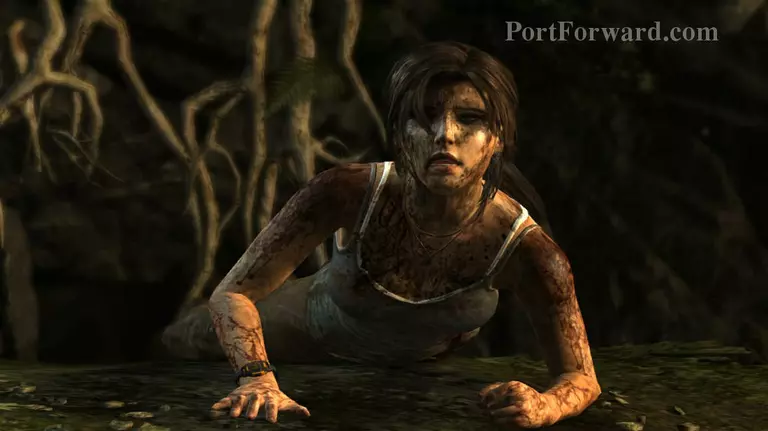 Tomb Raider Walkthrough - Tomb Raider 25