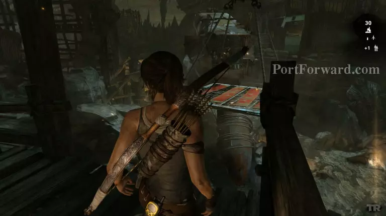Tomb Raider Walkthrough - Tomb Raider 356