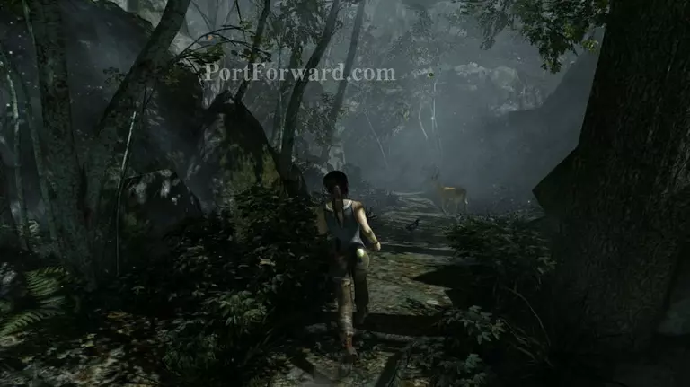 Tomb Raider Walkthrough - Tomb Raider 40