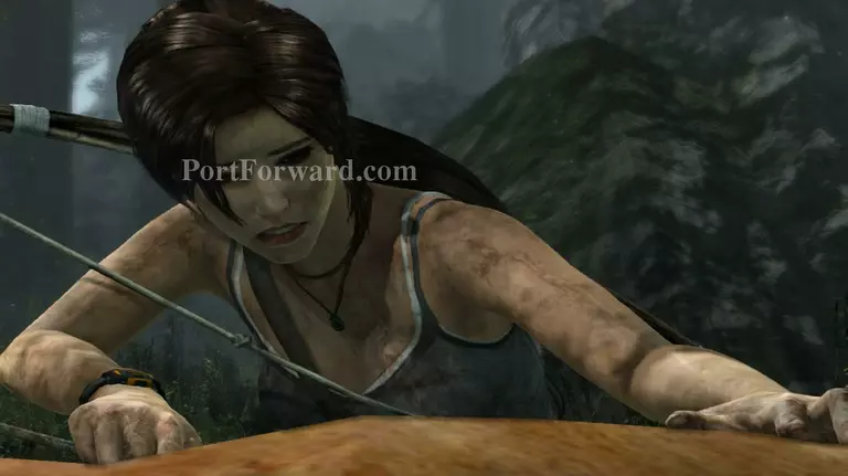 Tomb Raider Walkthrough - Tomb Raider 45