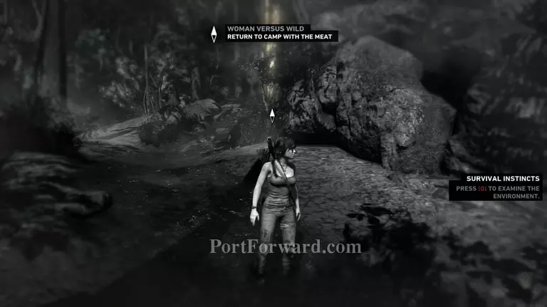 Tomb Raider Walkthrough - Tomb Raider 46