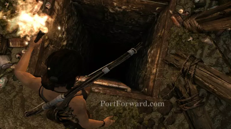 Tomb Raider Walkthrough - Tomb Raider 49