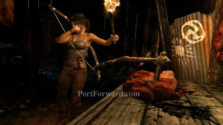 Tomb Raider Walkthrough - Tomb Raider 51