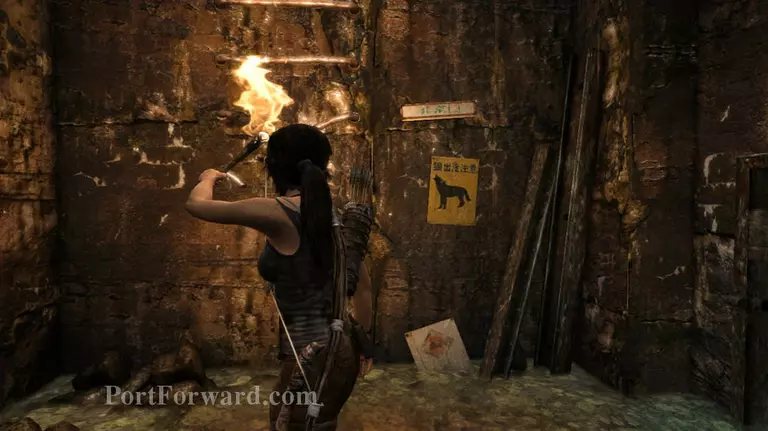 Tomb Raider Walkthrough - Tomb Raider 53