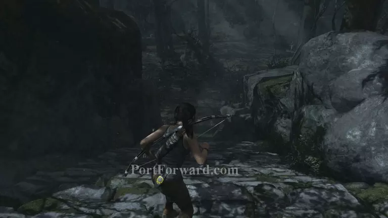 Tomb Raider Walkthrough - Tomb Raider 57