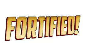 Port Forward Fortified