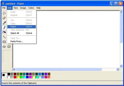 paint-EditPaste.jpg