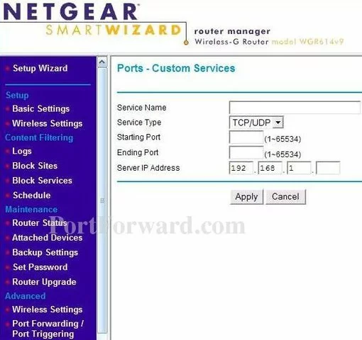 Netgear WGR614v9 port forward