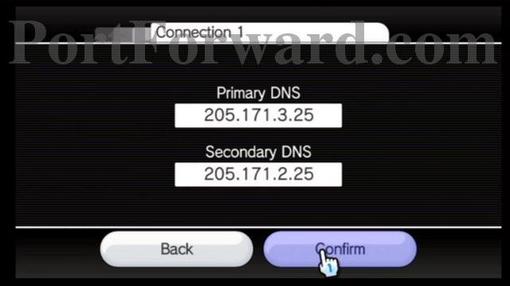 wii_dns_enter_data_complete.jpg