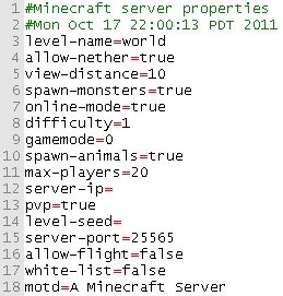 Minecraft server properties